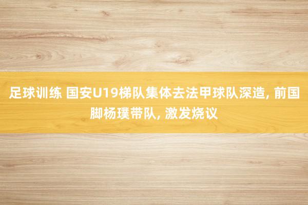 足球训练 国安U19梯队集体去法甲球队深造, 前国脚杨璞带队, 激发烧议