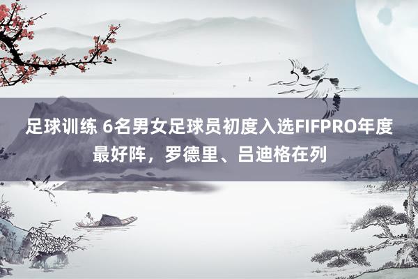 足球训练 6名男女足球员初度入选FIFPRO年度最好阵，罗德里、吕迪格在列