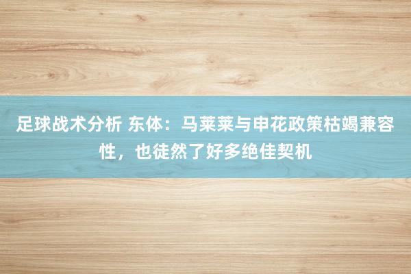 足球战术分析 东体：马莱莱与申花政策枯竭兼容性，也徒然了好多绝佳契机