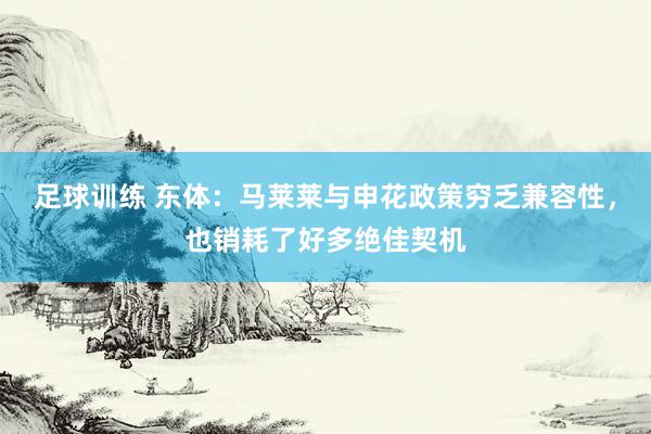 足球训练 东体：马莱莱与申花政策穷乏兼容性，也销耗了好多绝佳契机