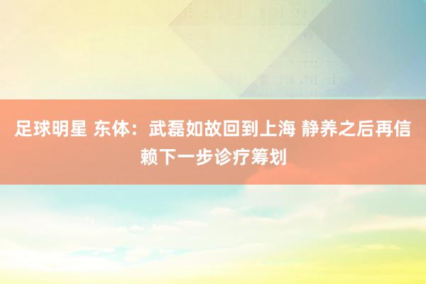 足球明星 东体：武磊如故回到上海 静养之后再信赖下一步诊疗筹划