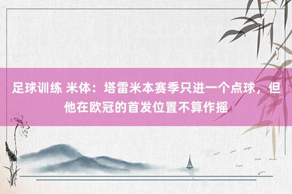 足球训练 米体：塔雷米本赛季只进一个点球，但他在欧冠的首发位置不算作摇