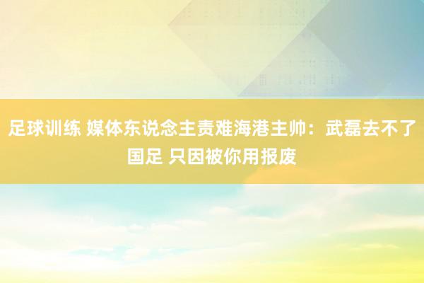 足球训练 媒体东说念主责难海港主帅：武磊去不了国足 只因被你用报废